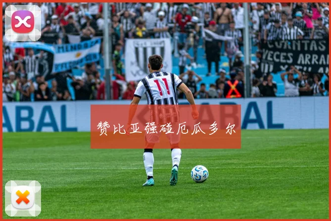 赞比亚强碰厄瓜多尔