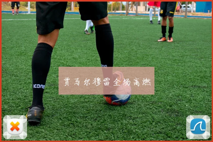 贾马尔穆雷全场高燃