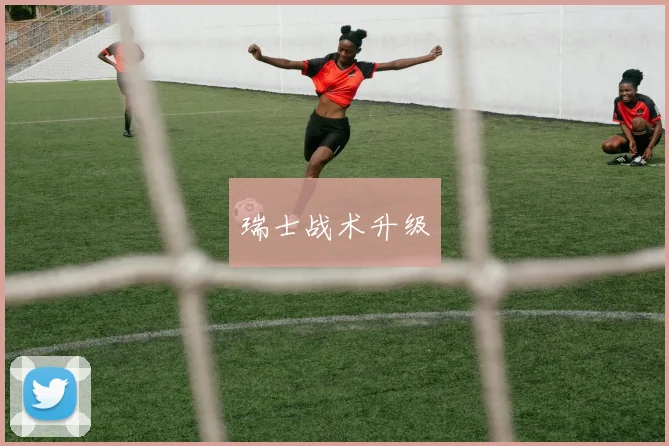 瑞士战术升级