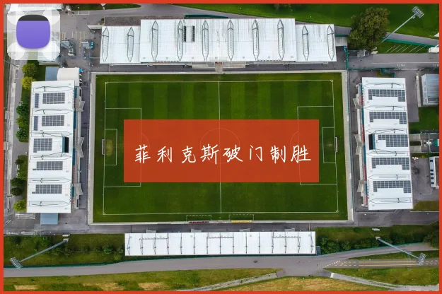 菲利克斯破门制胜