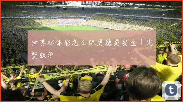 世界杯体彩怎么玩更稳更安全｜完整教学