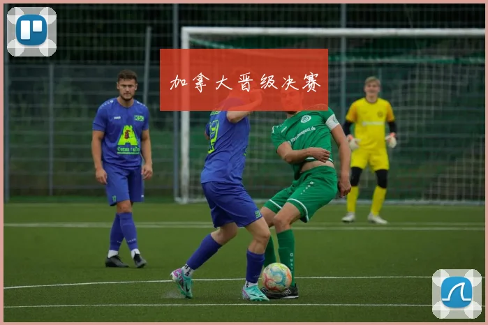 加拿大晋级决赛