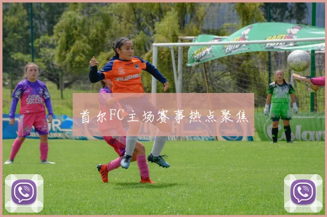 首尔FC主场赛事热点聚焦