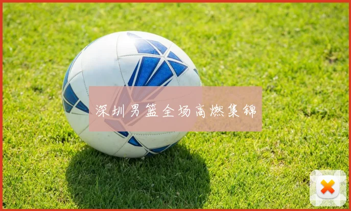 深圳男篮全场高燃集锦