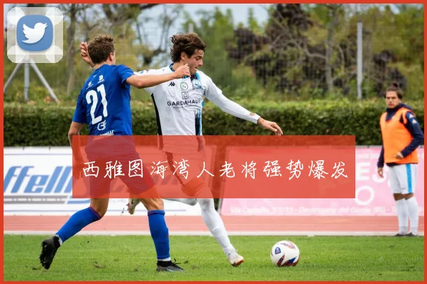 西雅图海湾人老将强势爆发