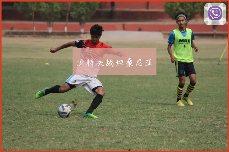 沙特决战坦桑尼亚