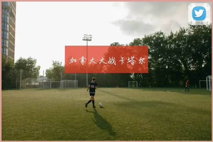 加拿大大战卡塔尔