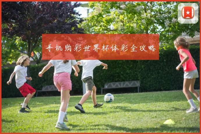 手机购彩世界杯体彩全攻略