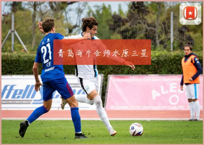 青岛海牛会师水原三星