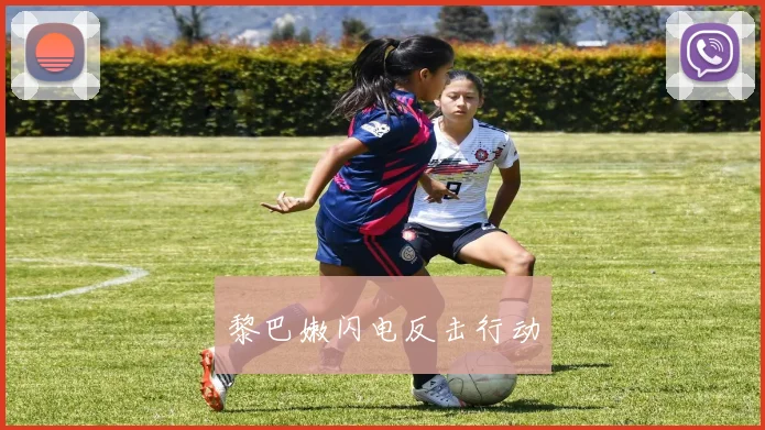 黎巴嫩闪电反击行动