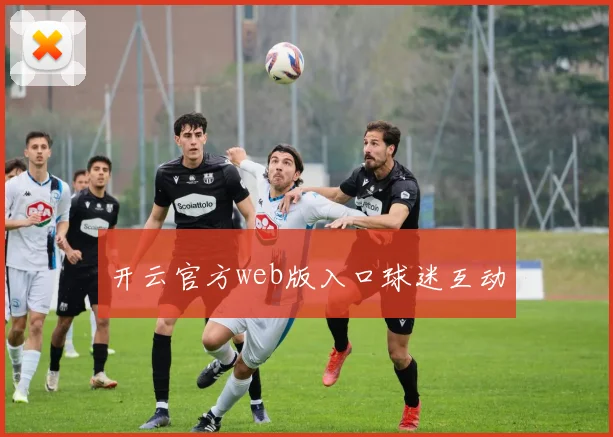 开云官方web版入口球迷互动