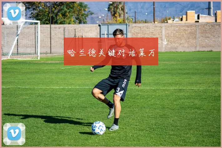 哈兰德关键对话莱万