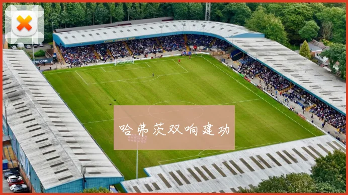 哈弗茨双响建功