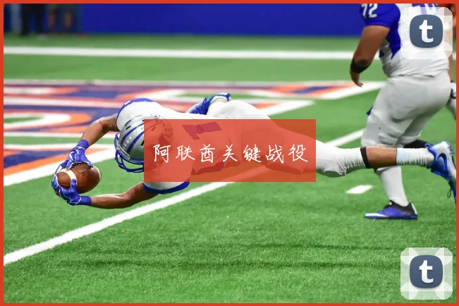 阿联酋关键战役