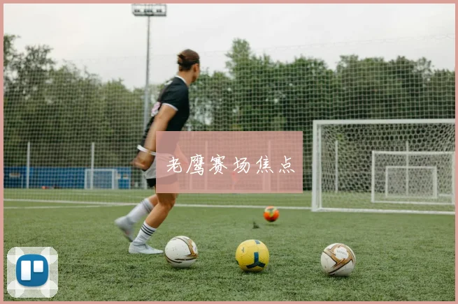 老鹰赛场焦点