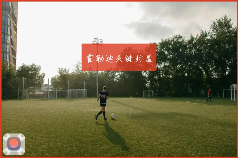 霍勒迪关键封盖