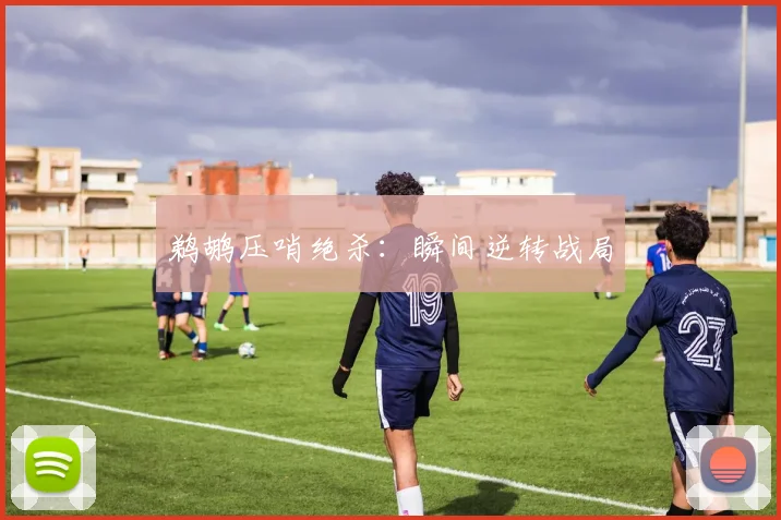 鹈鹕压哨绝杀：瞬间逆转战局