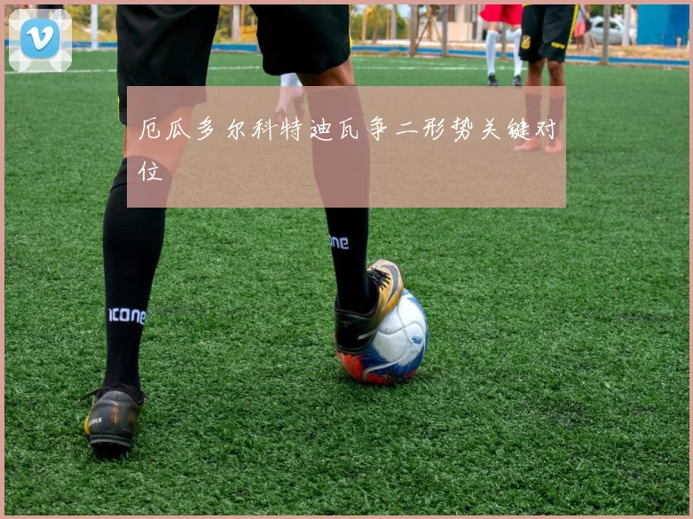 厄瓜多尔科特迪瓦争二形势关键对位