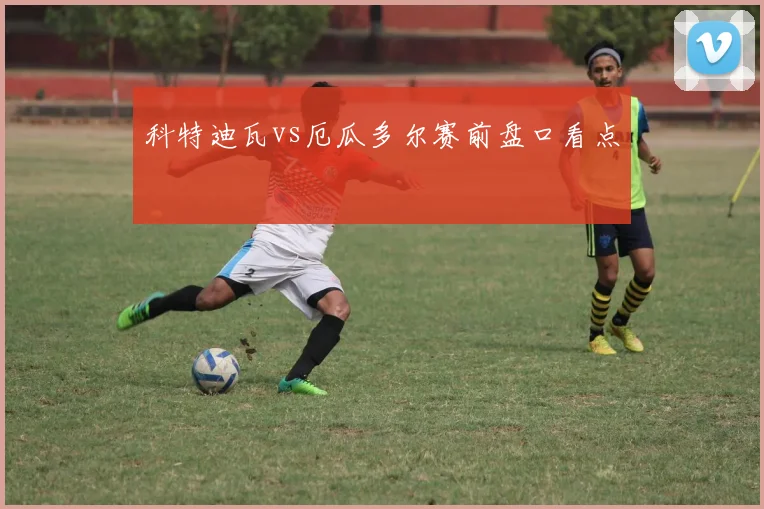 科特迪瓦vs厄瓜多尔赛前盘口看点