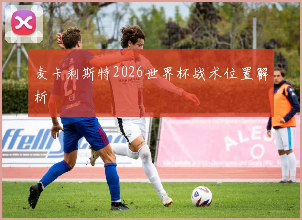 麦卡利斯特2026世界杯战术位置解析