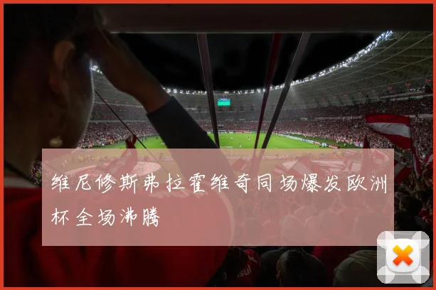 维尼修斯弗拉霍维奇同场爆发欧洲杯全场沸腾