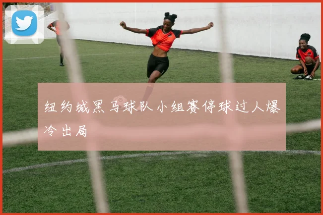 纽约城黑马球队小组赛停球过人爆冷出局