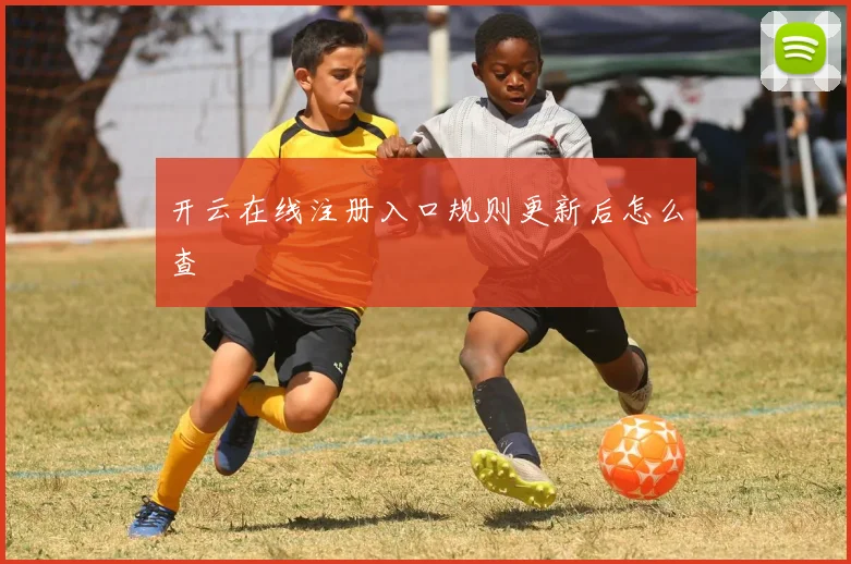 开云在线注册入口规则更新后怎么查